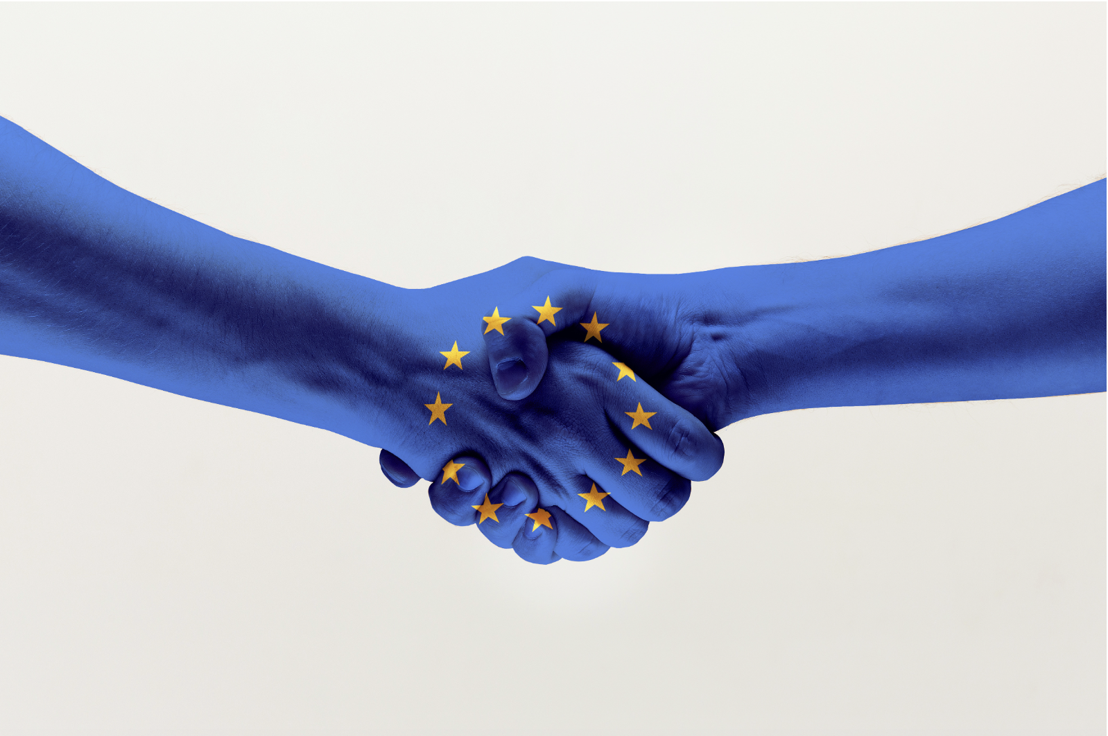Déclaration officielle de l&rsquo;AME: Penser et agir pour les valeurs humanistes européennes